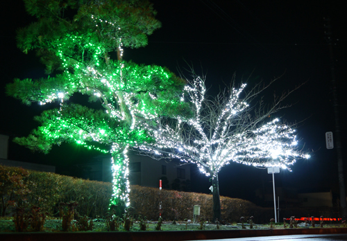 12月になりますよ。_c0033567_02541916.jpg