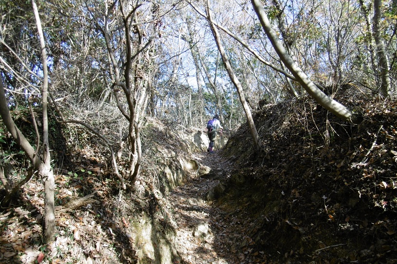 六甲山全山縦走_f0205367_21265581.jpg