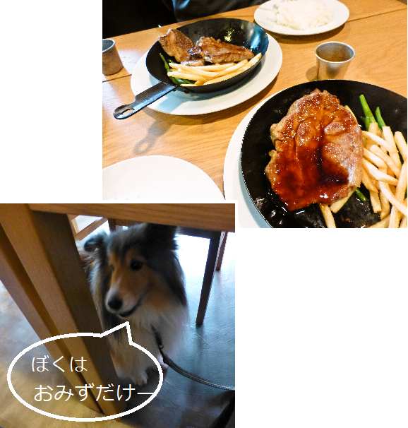 a0157174_15185676.png