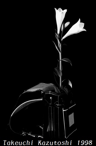 a lily -2nd-_e0290580_2344402.jpg