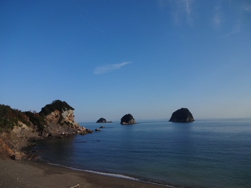 LSDで阿南ボタ_e0201281_22582982.jpg
