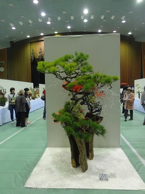 佐賀県諸流合同いけばな展 (前期)_d0195183_857317.jpg