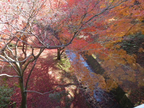 b0336384_22490630.jpg