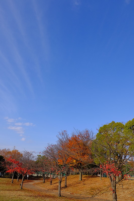 f0238186_22470636.jpg