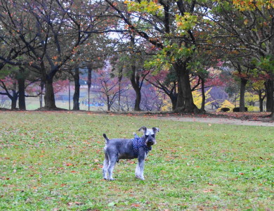 a0236996_152069.jpg