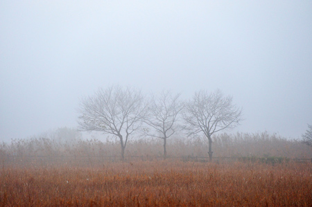 c0148401_153215.jpg