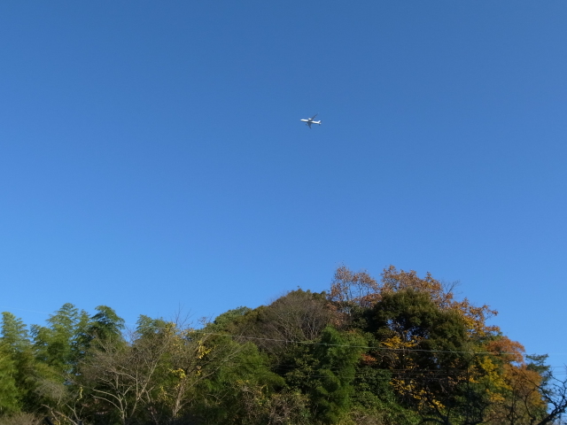 鬼城山ハイキング@岡山県総社市奥坂_f0197703_15216100.jpg