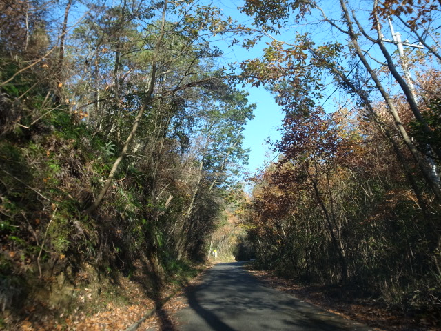 鬼城山ハイキング@岡山県総社市奥坂_f0197703_1561677.jpg