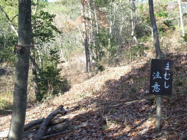 鬼城山ハイキング@岡山県総社市奥坂_f0197703_16153972.jpg