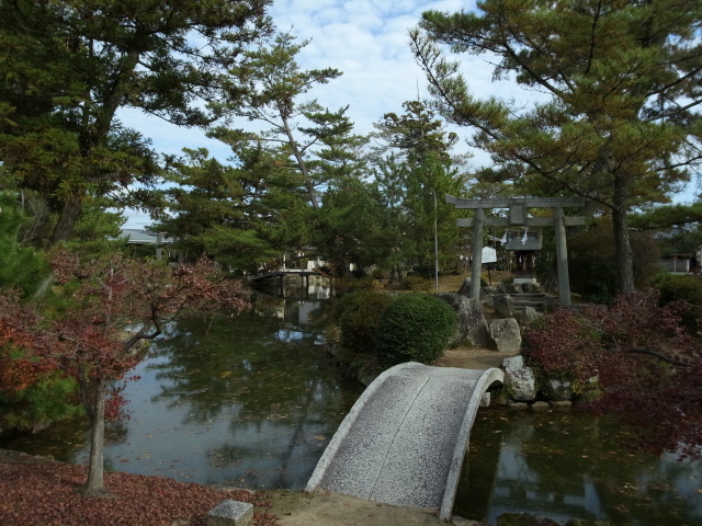 f0197703_1744995.jpg