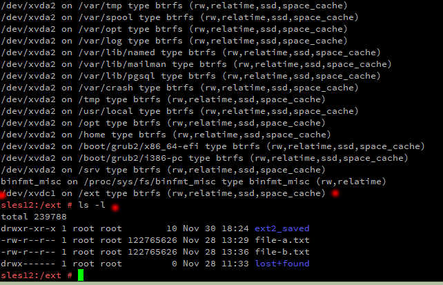 SLES12 ext3 から BTrFS への変換_a0056607_10181337.jpg