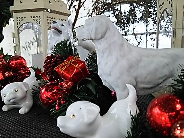 d0148408_11323633.jpg