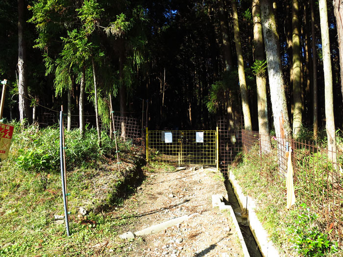e0077010_2159525.jpg