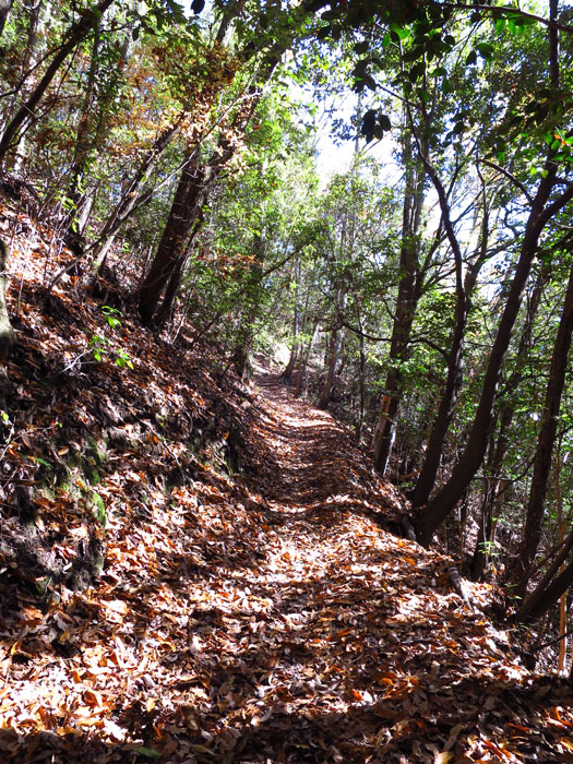 e0077010_2225264.jpg