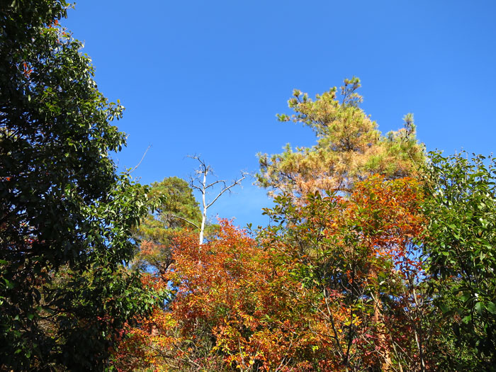 e0077010_2232140.jpg