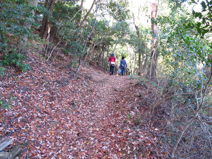 e0077010_224316.jpg