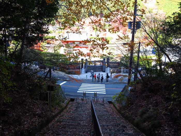 e0077010_226156.jpg