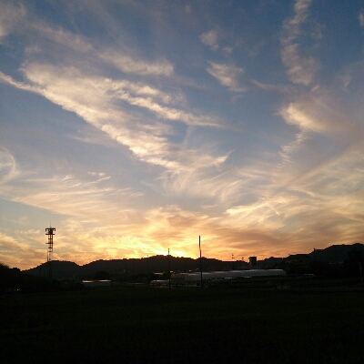 f0148410_015370.jpg