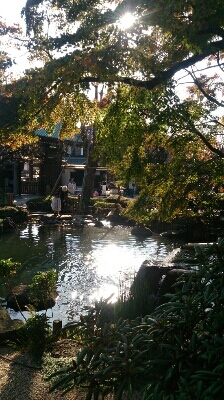f0148410_059797.jpg