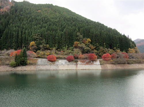 a0164011_0145346.jpg