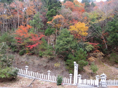 a0164011_0153926.jpg