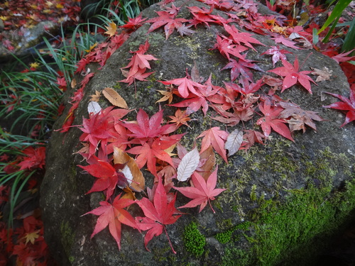 c0193512_22203135.jpg