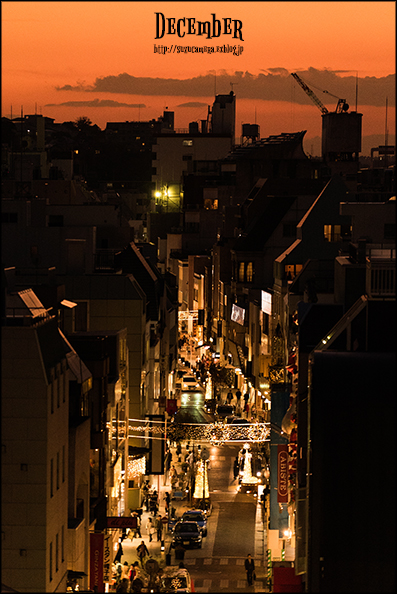 ラストスパート_f0100215_21382446.jpg
