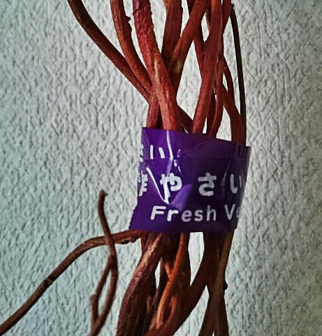 c0250116_207939.jpg