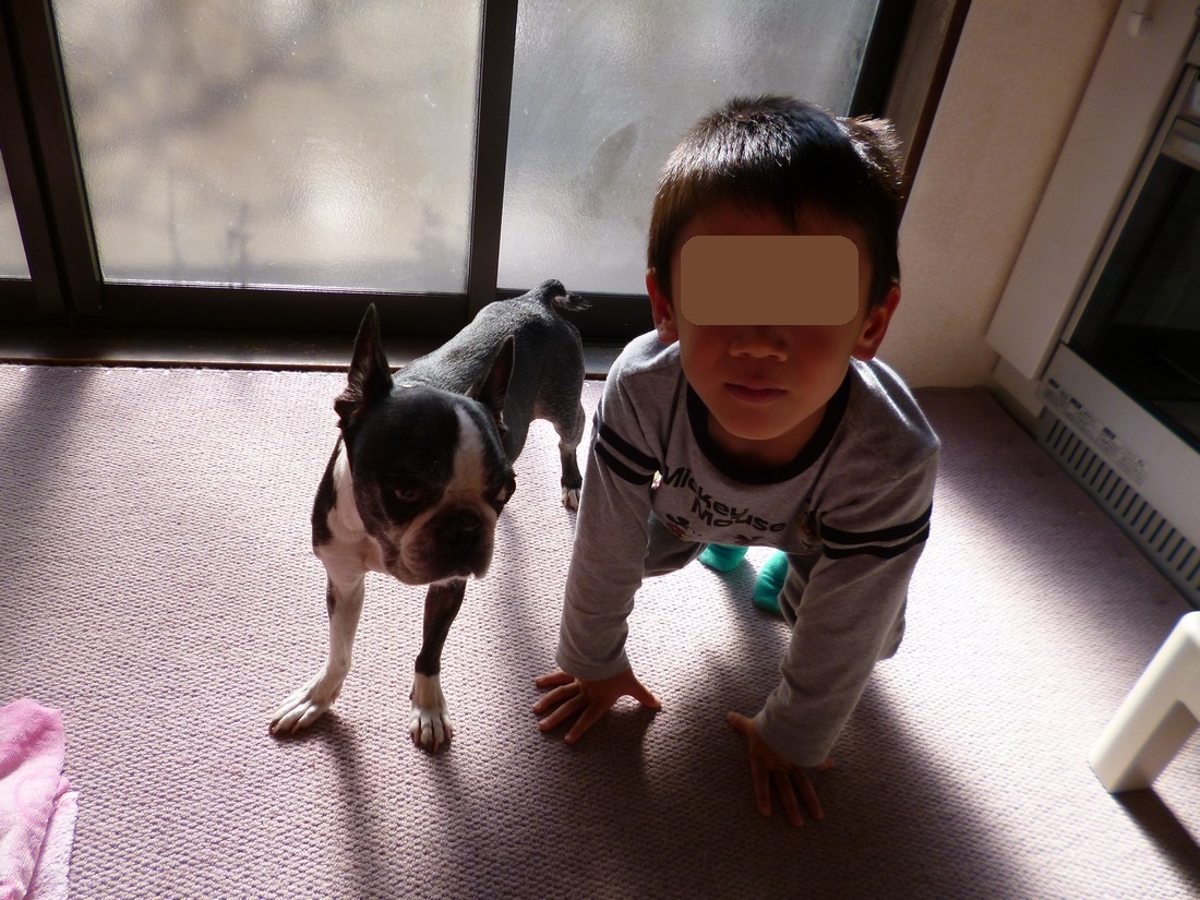 c0280416_16262649.jpg