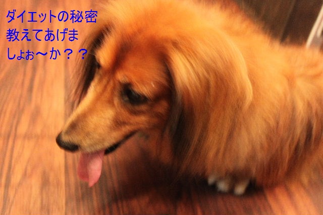 １２月に入りましたぁ～！！_b0130018_16533515.jpg