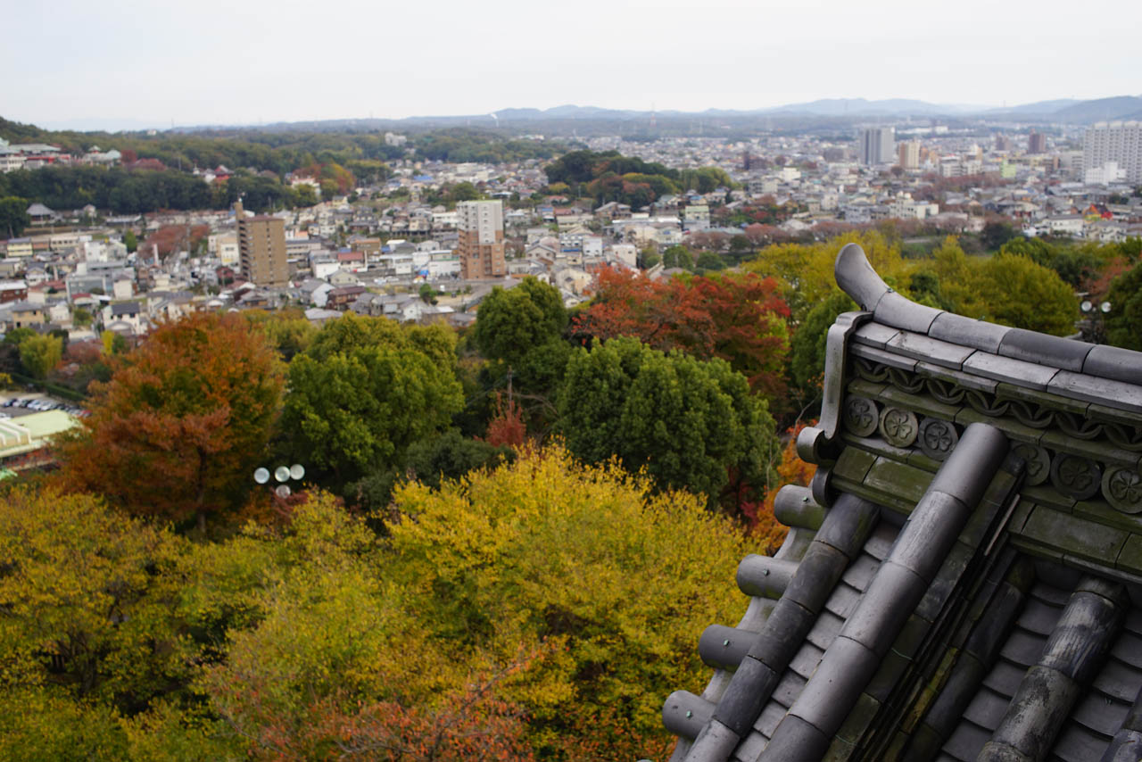 愛知合宿その６～国宝犬山城～_c0271718_1214179.jpg