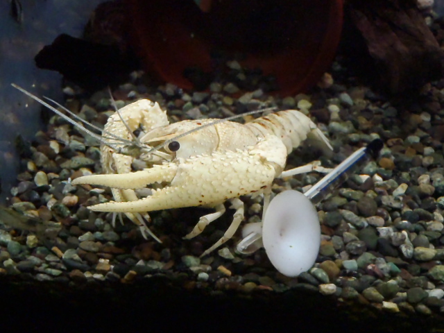 b0284820_20391328.jpg