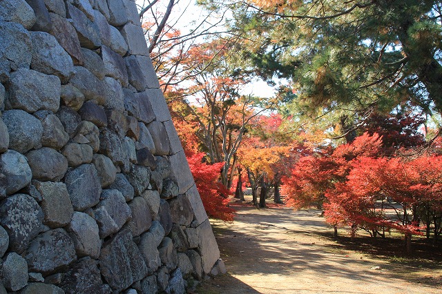 松阪城跡の石垣と紅葉風景　（その4）最終回_e0321325_16123460.jpg