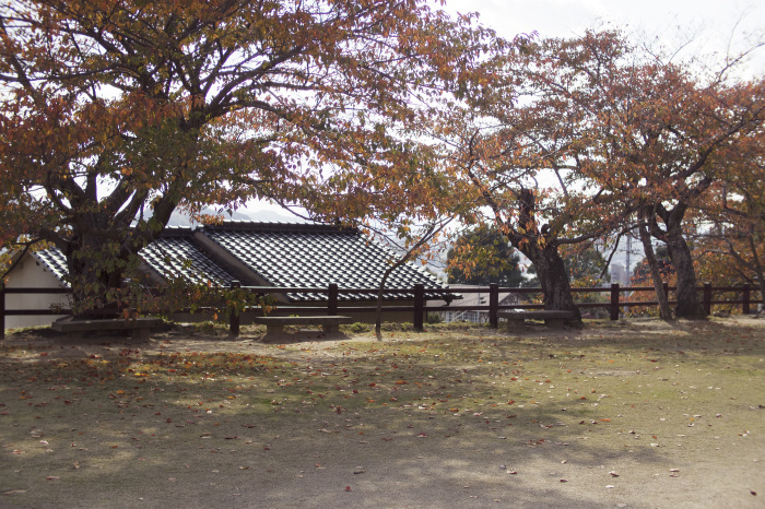 e0329526_23261601.jpg