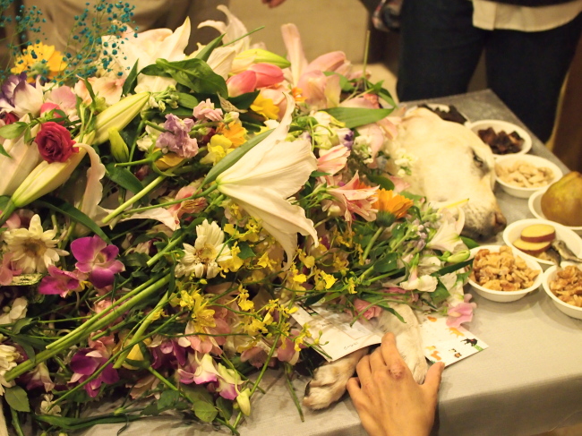 c0117831_724276.jpg