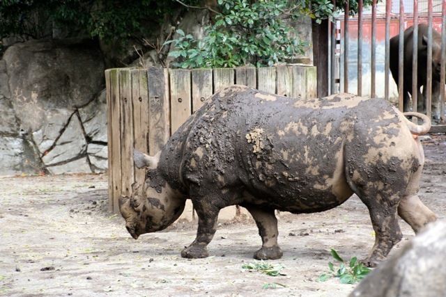 【金沢動物園】part 1_f0348831_22324253.jpg