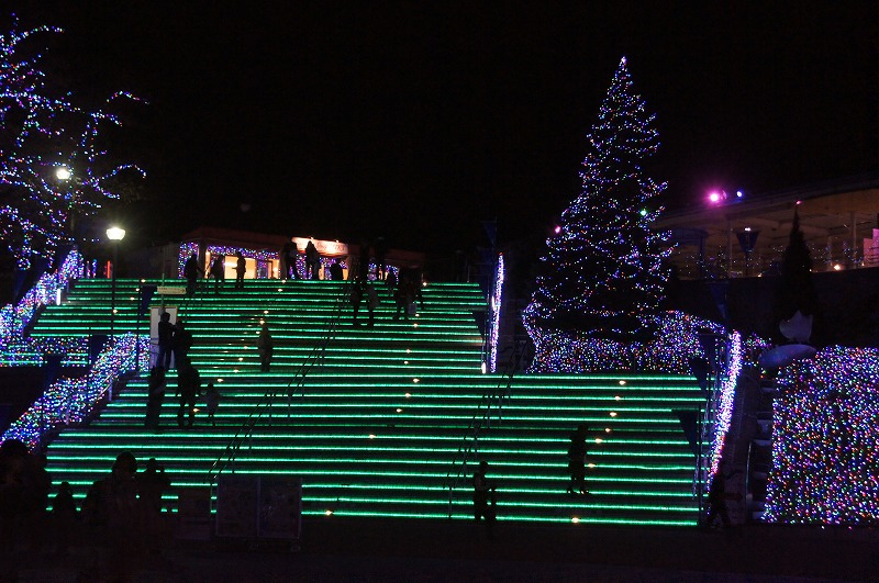 a0122932_16251462.jpg