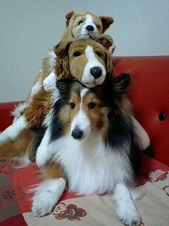 f0210439_0494062.jpg