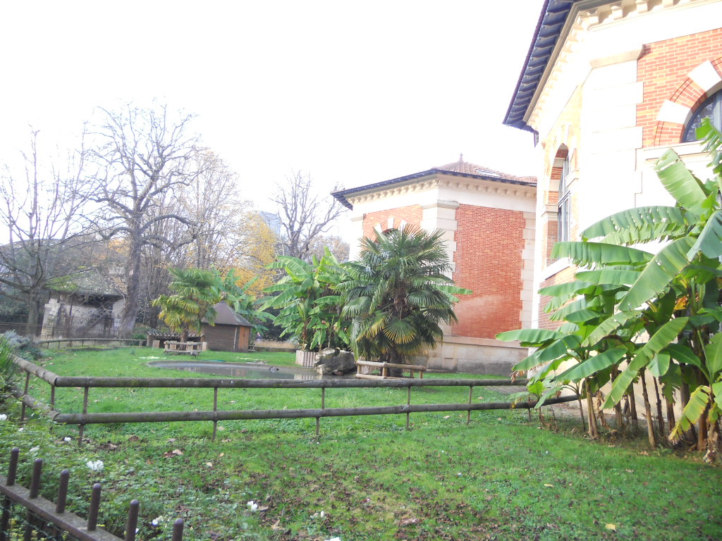 e0300042_0175611.jpg