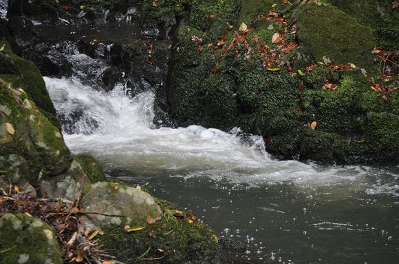 a0201743_205356.jpg