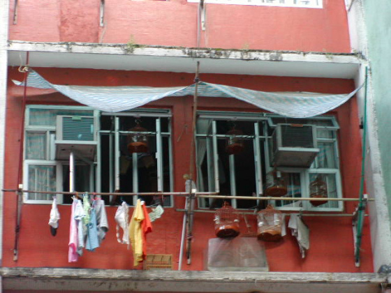 e0248743_7542293.jpg