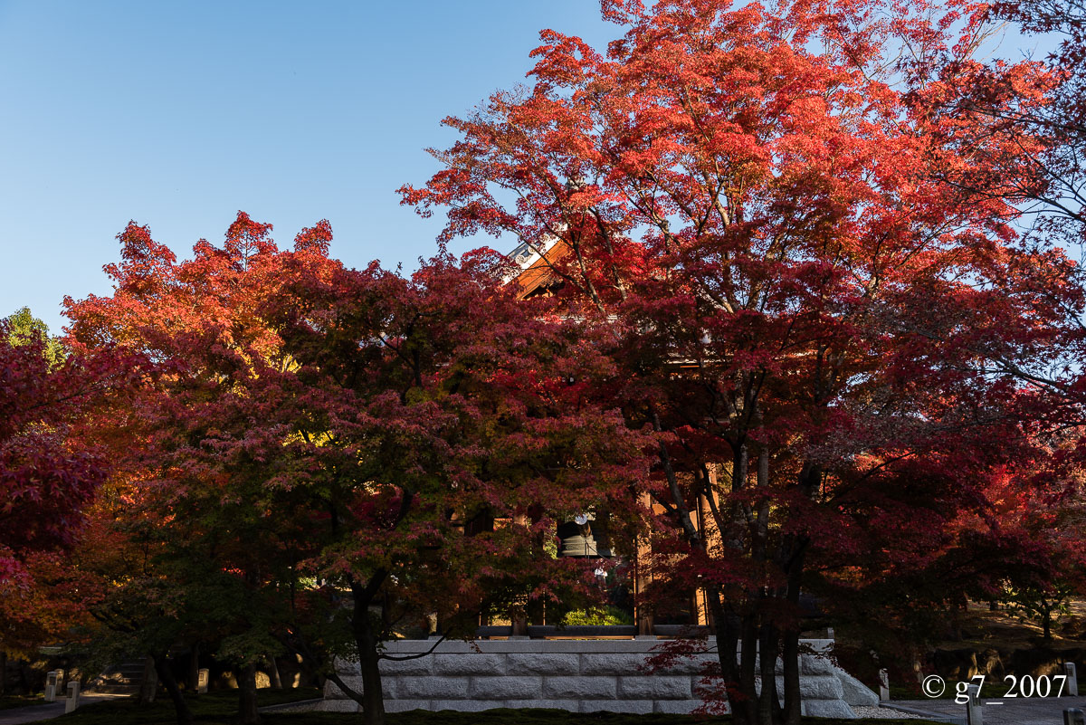 京都の紅葉 2014 〜智積院〜_f0152550_21444753.jpg