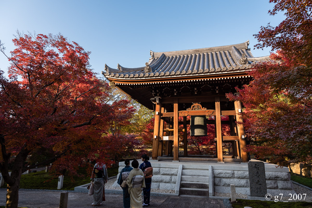 京都の紅葉 2014 〜智積院〜_f0152550_2145113.jpg