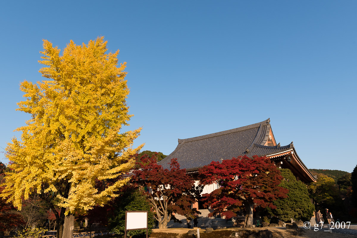 京都の紅葉 2014 〜智積院〜_f0152550_21453382.jpg