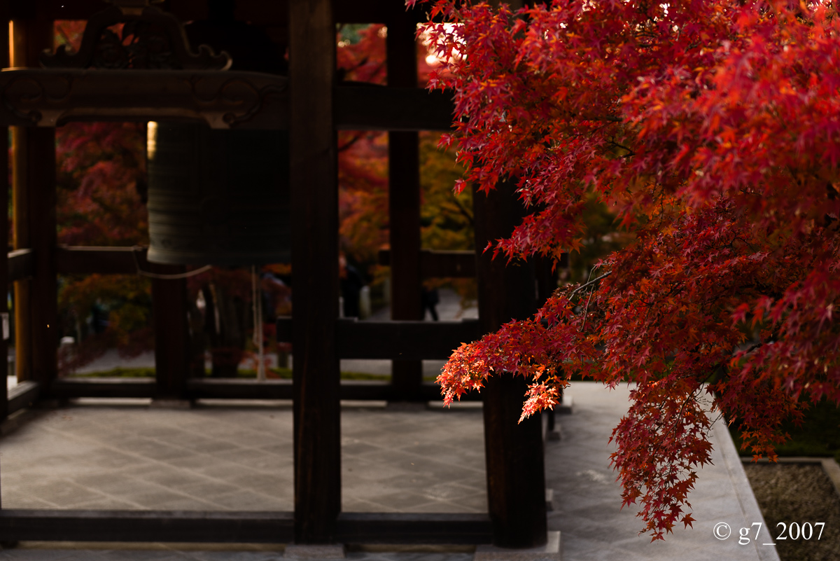 京都の紅葉 2014 〜智積院〜_f0152550_21455049.jpg