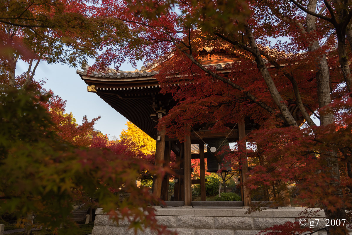 京都の紅葉 2014 〜智積院〜_f0152550_21462613.jpg