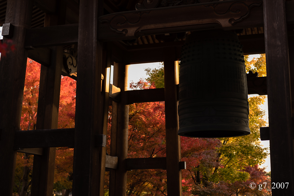 京都の紅葉 2014 〜智積院〜_f0152550_2146638.jpg