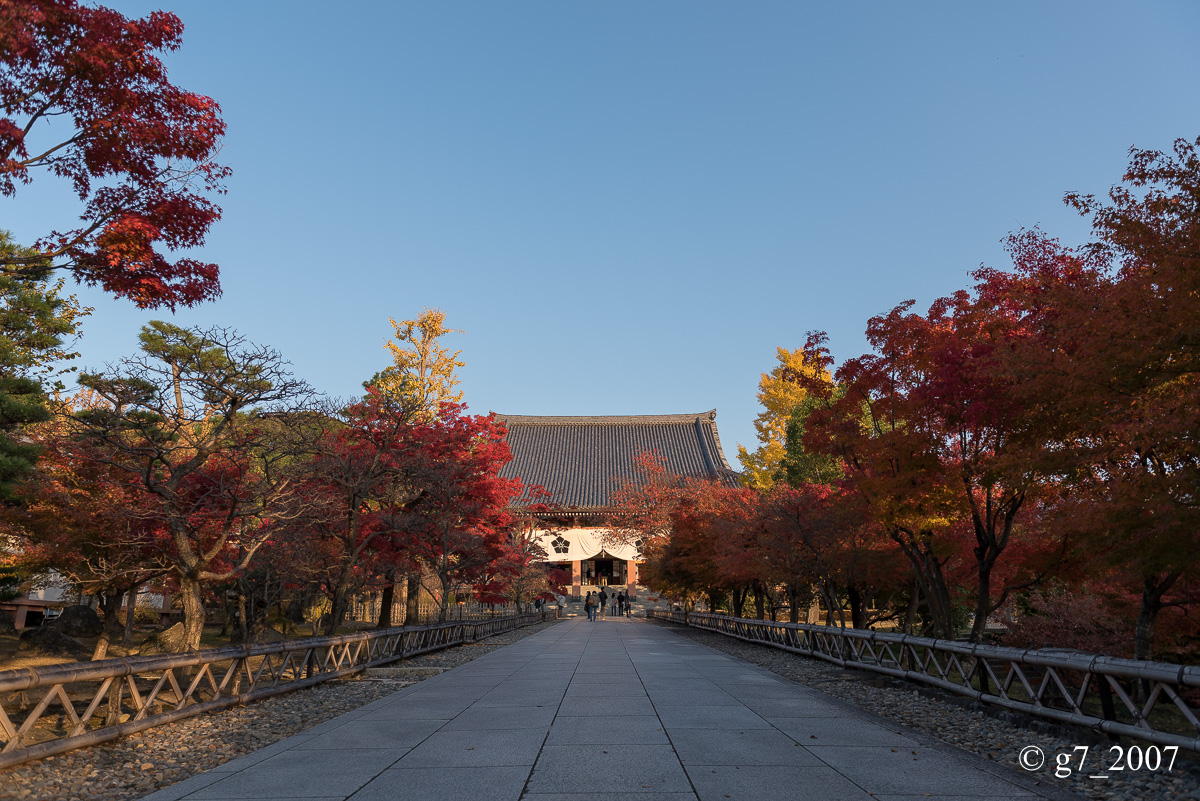 京都の紅葉 2014 〜智積院〜_f0152550_21472223.jpg