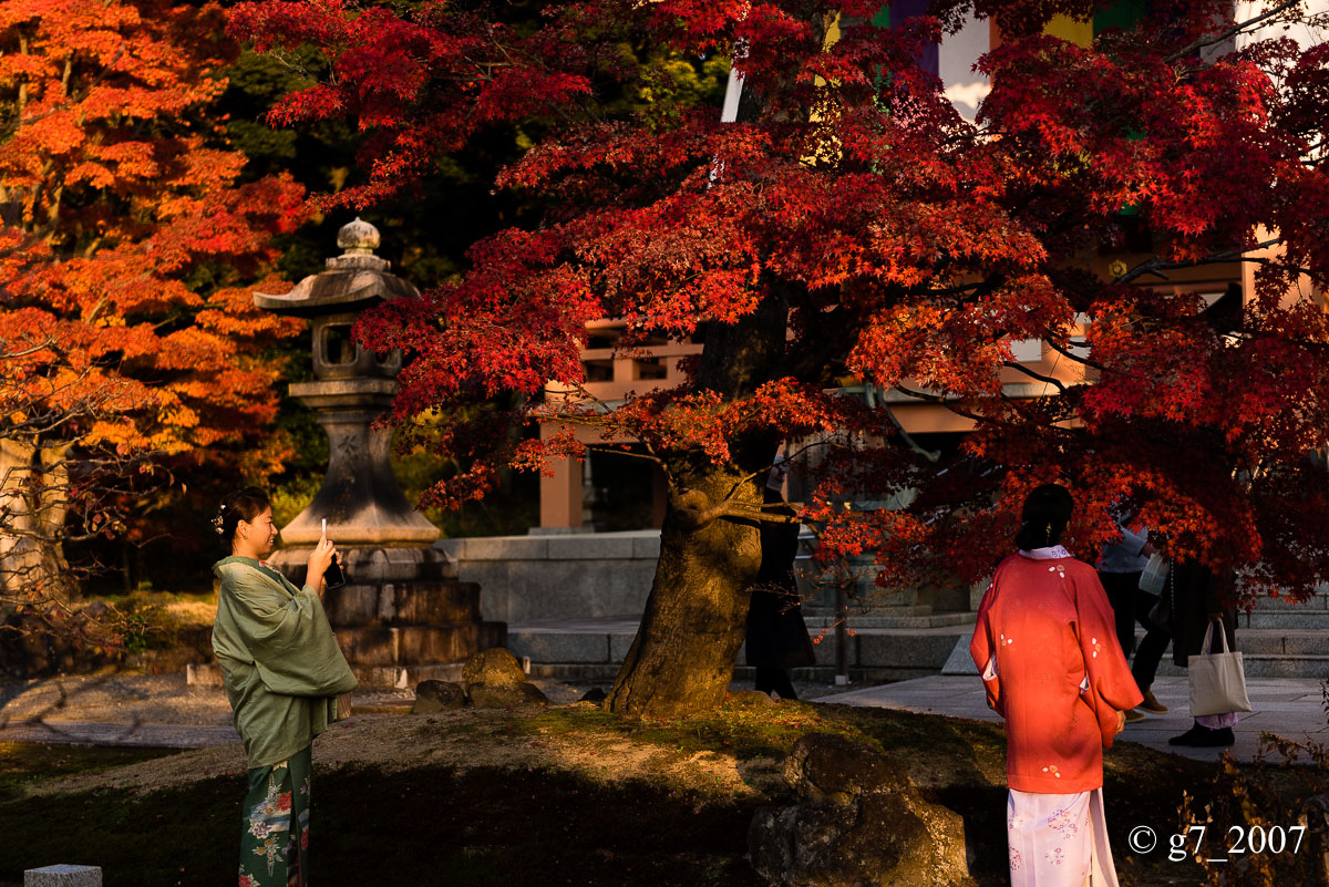 京都の紅葉 2014 〜智積院〜_f0152550_21482735.jpg