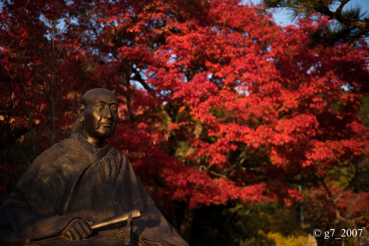 京都の紅葉 2014 〜智積院〜_f0152550_2148382.jpg